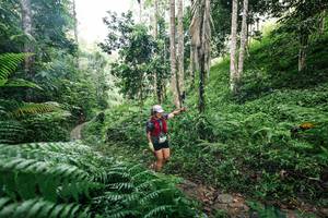 BIB: 
                            <button type="button" onclick="openModal(26408724)" class="btn btn-primary btn-sm float-right btn-popup" data-toggle="modal" data-target=".modal-high-quality">
                        <i class="fas fa-shopping-cart"></i> Add to Cart
                    </button>
                                            <button type="button" onclick="isThisMe(26408724, true)" class="btn btn-success btn-sm float-right btn-popup btn-isme hidden" data-toggle="tooltip" data-placement="bottom" title="นี่คือรูปของคุณใช่ไหม คลิกที่นี่เพื่อเอาเข้าอัลบั้ม">
                        <i class="fas fa-plus"></i> Add to album
                    </button>
                    <button type="button" onclick="isThisMe(26408724, false)" class="btn btn-warning btn-sm float-right btn-popup btn-isnotme hidden">
                        <i class="fas fa-ban"></i> Remove from album
                    </button>